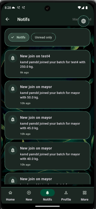 BatchIt screenshot 4